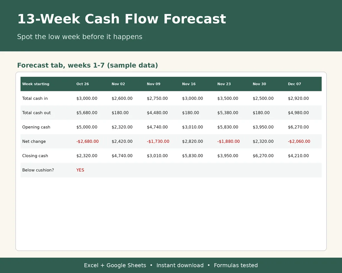 13-Week Cash Flow Forecast preview